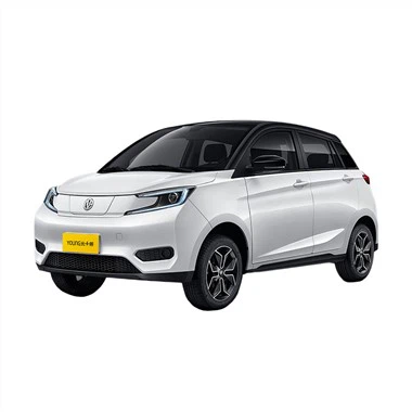 Minicoche eléctrico puro Young S400 SEV Versión Fancey