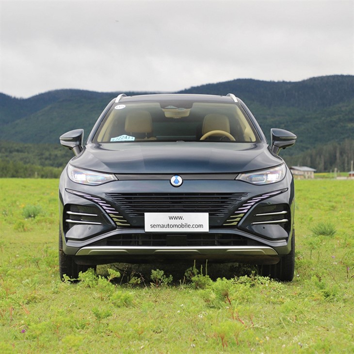 Denza N8 6 Seater  EV Vehicle
