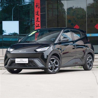 Edición de vuelo de gaviota BYD