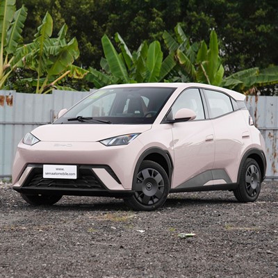 BYD Gaviota Mini Coche Eléctrico