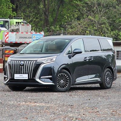 Monovolumen Denza D9 4WD EV